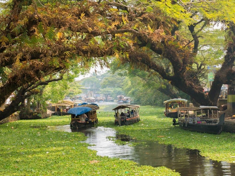 Alleppey Houseboat